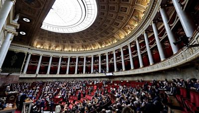 French lawmakers cry foul after suspected ballot-stuffing in National Assembly