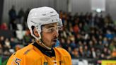 DEL: Ice Tigers holen Stürmer Dove-McFalls