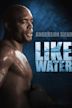 Anderson Silva: Like Water