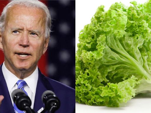 Biden Vs. Lettuce: The Humorous Bet That Surprised Everyone!