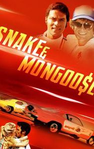 Snake and Mongoose