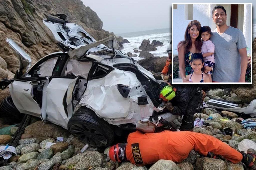 Wife of California doctor who drove Tesla off cliff with family inside speaks in court for first time as kids ask, ‘When’s Daddy coming home?’