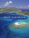 Wild Caribbean