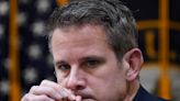 Kinzinger says 'there is violence in the future' after receiving mailed threat to 'execute' him, his wife, and 5-month-old baby