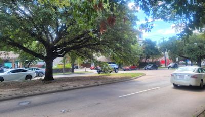 Montrose residents urge Mayor Whitmire to lift pause on long-planned overhaul of neighborhood’s tree-lined boulevard | Houston Public Media
