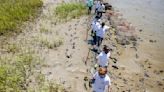 A very Lowcountry lesson: Elementary school students learn how to protect the salt marsh