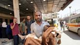 Israeli hostages’ group sees ‘sabotage’ in Gaza talks