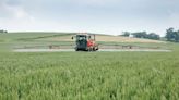 Crop Watch: OSR pod sealants and foliar N in wheat - Farmers Weekly