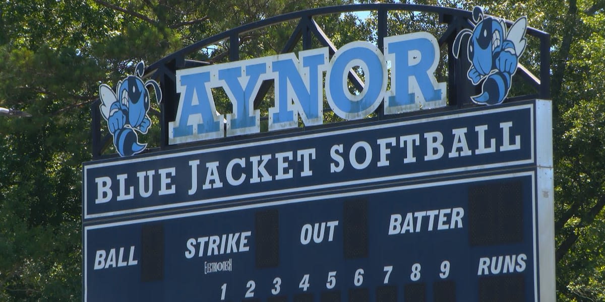 ‘My team makes me better’: Aynor High softball pitcher named 3A Player of the Year