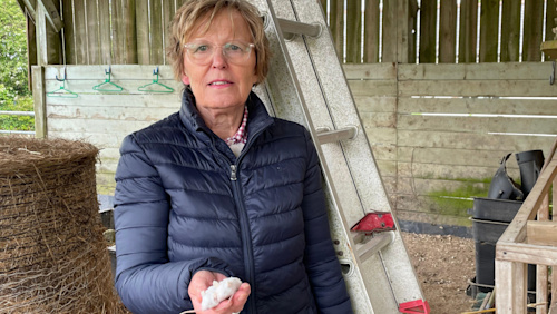 Woman helps keep baby owl alive