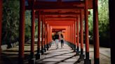 FOTOS: Así se ve de noche el Jardín Japonés del Parque Tangamanga de SLP | San Luis Potosí