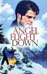 Angel Flight Down