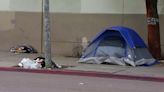 Homelessness count increases by 3% from last year, Point-in-Time Count reveals