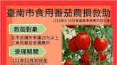 南市食用番茄災損30日起現金救助申請， 黃偉哲呼籲農戶儘速提出申請