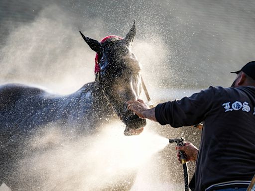 2024 Kentucky Derby: Updated odds, predictions and full field for 150th Run for the Roses