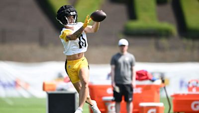 Steelers Rookie Roman Wilson Carted Off Field After Injury