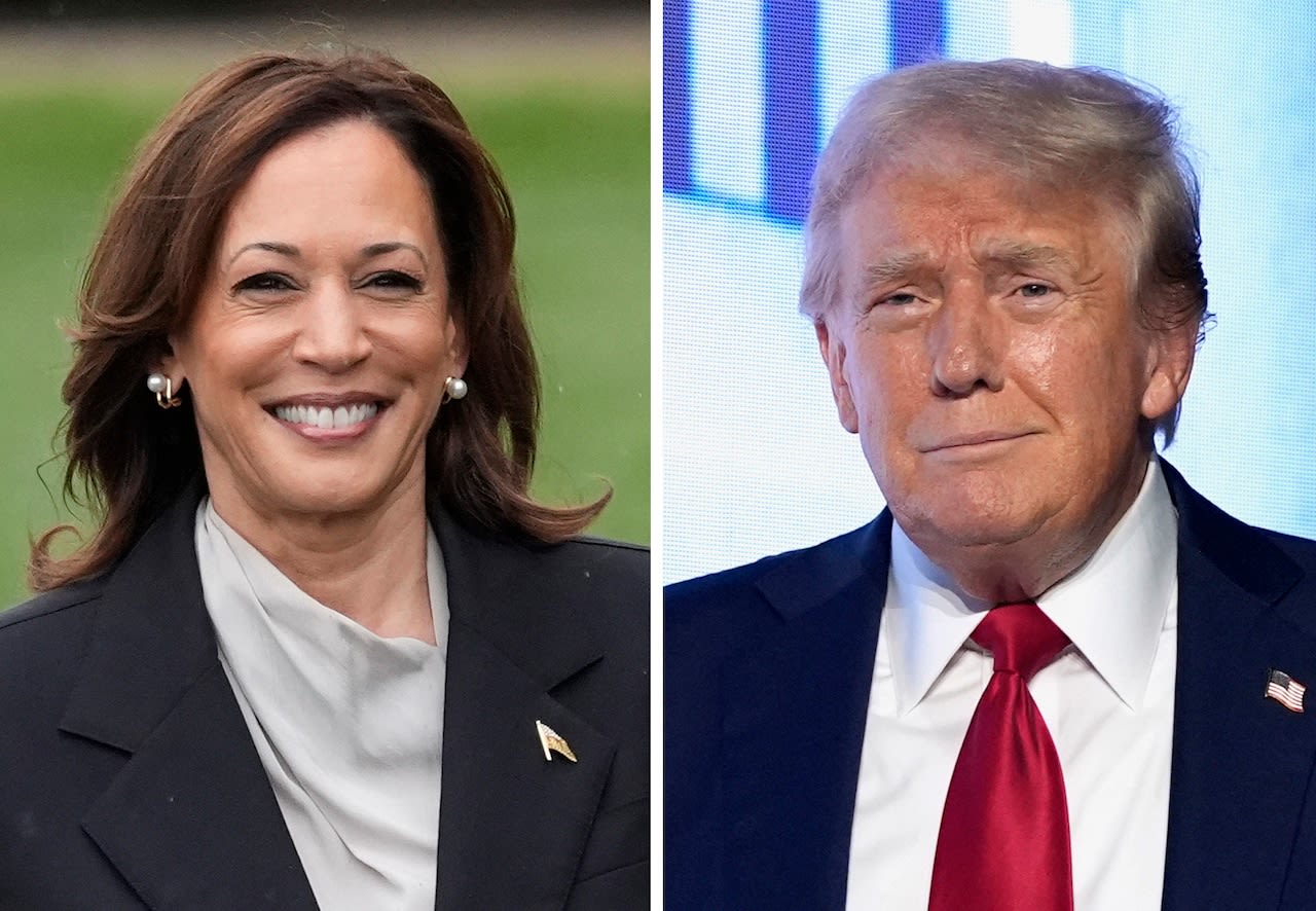 Harris vs. Trump: Latest ‘wild’ polling numbers show major change in race