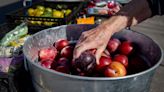 Answer Woman: Are there any South Asheville farmers markets?