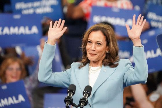 Kamala Harris Energizes Weary Democrats