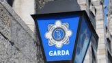 Pedestrian in her 80s dies in incident at Carlow car park