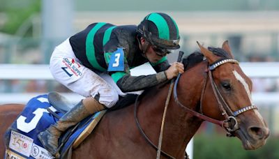 Bet against Mystik Dan winning the Triple Crown ahead of 2024 Preakness Stakes