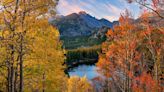 See Aspens in Fall at Rocky Mountain National Park