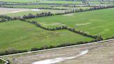 11.25ac parcel of Meath land sells for €39,100/ac