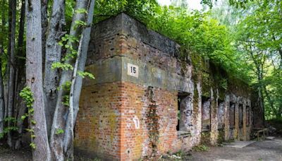 Wolfsschanze: Forscher entdecken Skelette im Haus von Hermann Göring