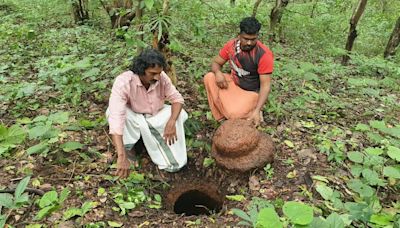 Ancient megalithic rock-cut chambers unearthed in Kasaragod