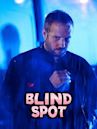 Blind Spot (2012 film)