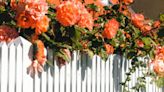 Best fence panels: Choose the right fence for your garden