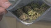 Minnesota regulators seize illegal raw cannabis flower, thousands of noncompliant THC products