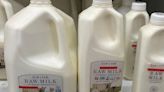 Raw milk containing bird flu virus infects mice in study