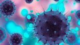Scientists Developing mRNA-Based Vaccine Against H5N1 Bird Flu | Fox 11 Tri Cities Fox 41 Yakima