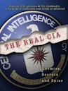 The Real C.I.A.: Enemies, Secrets and Spies