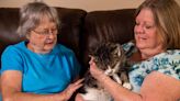 Feeding cats on public property lands Alabama 'cat ladies' in jail