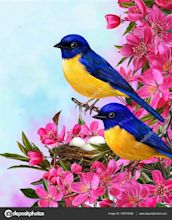 Two bright blue birds sitting on a branch of apple blossoms red. Stock ...