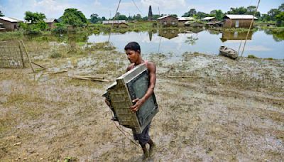 Assam floods: Traffic partially restored on Kaziranga national highway as water recedes