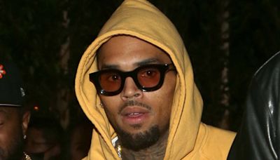 Chris Brown and entourage sued over alleged assault