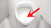 What is a ‘urinal fly’ and what is its purpose?