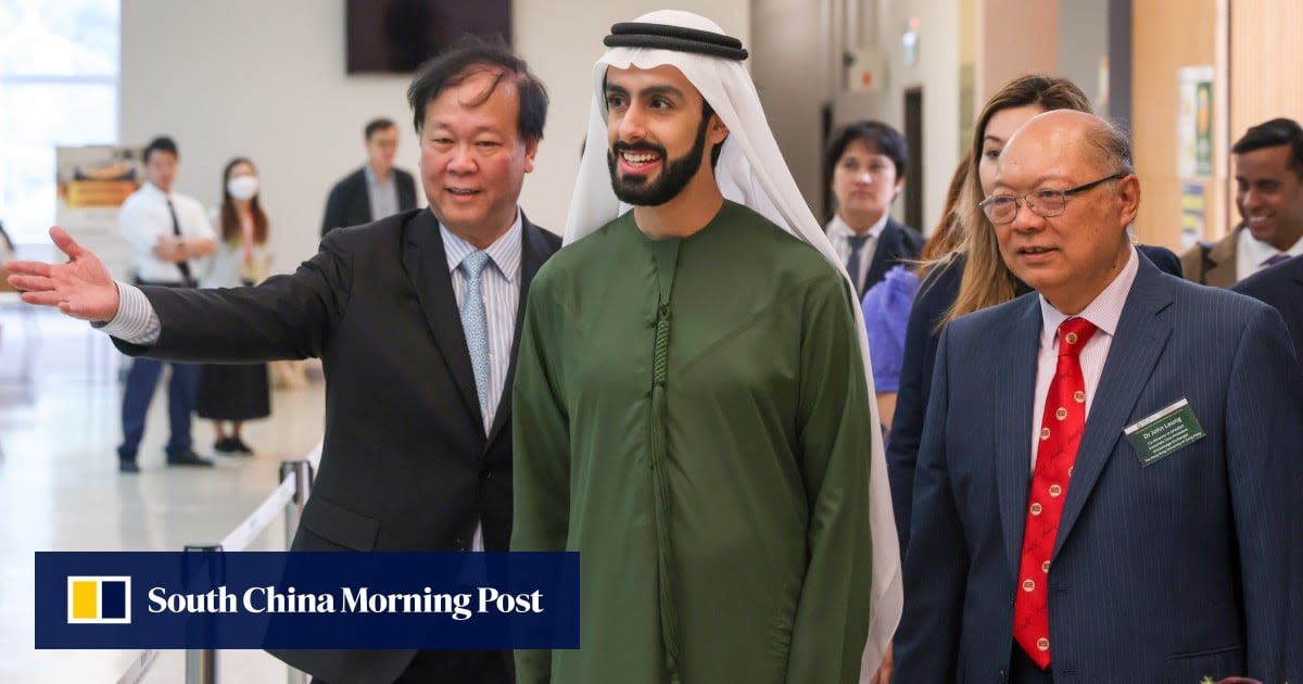 ‘Lawful’ capital welcome in Hong Kong, minister says as Dubai prince due to return