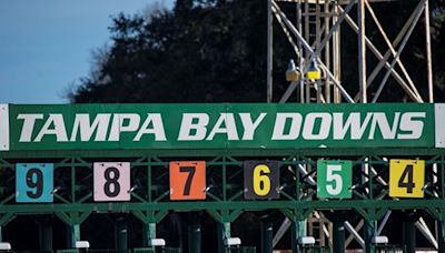 Tampa Bay Downs: 2023-24 Season Recap