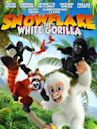 Snowflake, the White Gorilla