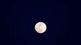 How to see the Flower Moon in the sky this week from New Jersey