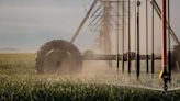 In the Douglas and Willcox basins, weak groundwater regulation exploited by industrial-scale agriculture