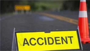 Car trying to avoid hitting leopard overturns, woman killed - The Shillong Times