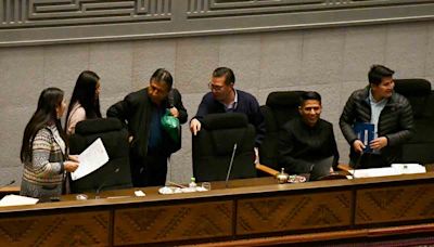 Suspenden sesión de Asamblea para declarar receso parlamentario - El Diario - Bolivia