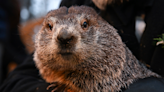 Watch live: Phil the groundhog predicts how long winter will last