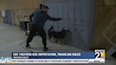 CDC tightens restrictions for importing and traveling dogs