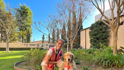 Meet Beacon the therapy dog, bringing joy from Pasadena to the Olympics